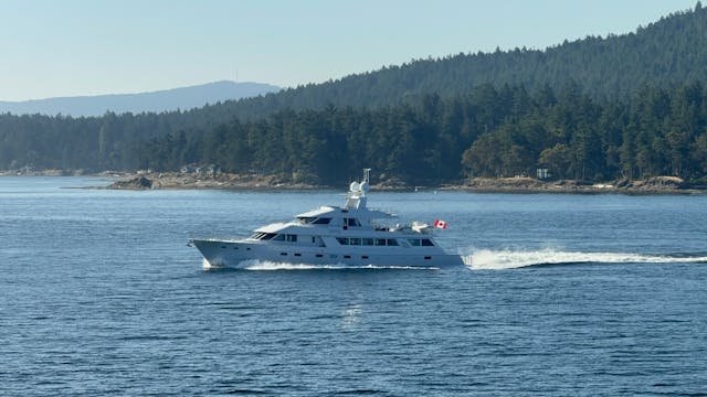 cruiser